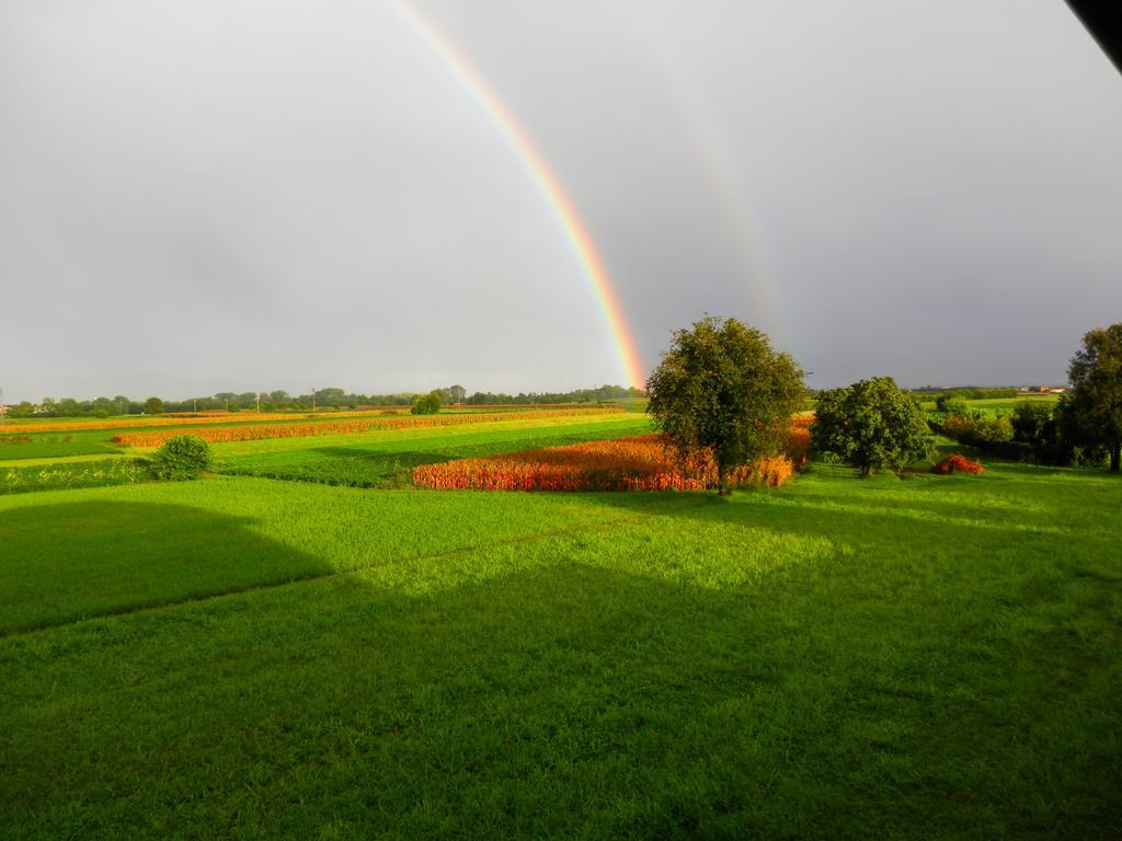 Agriturismo Cjargnei Bed and Breakfast Povoletto Εξωτερικό φωτογραφία